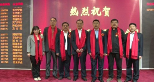 中国电商平台新模式有哪些,中国电商重构全球零售格局