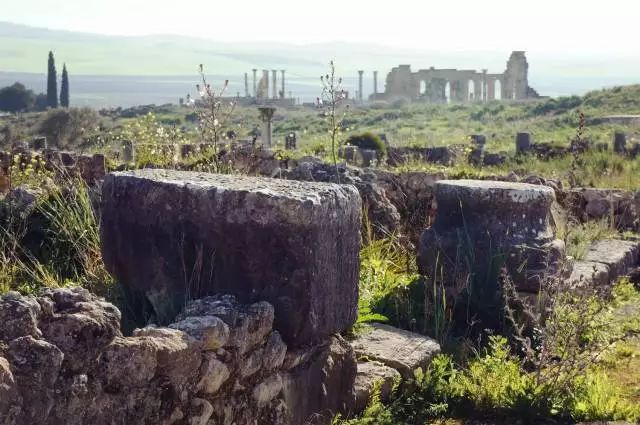 不同于你想象之中的卡萨布兰卡