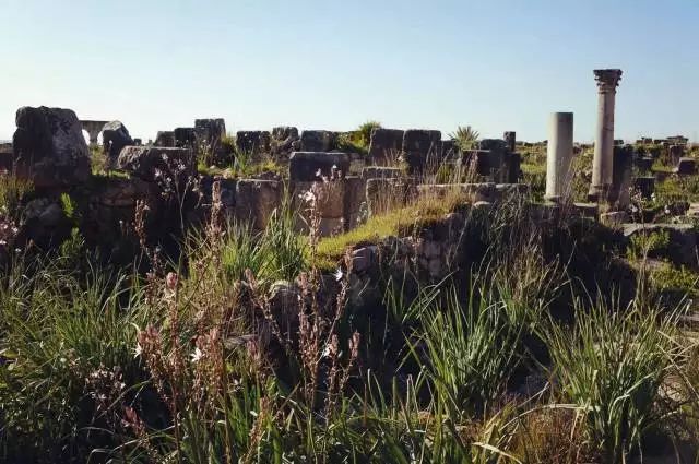 不同于你想象之中的卡萨布兰卡