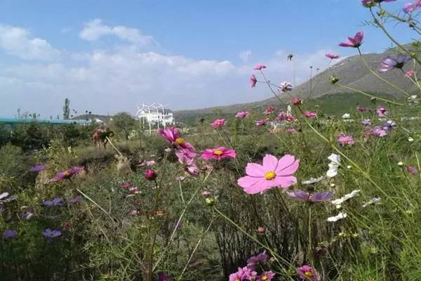 从太原出发自驾游国家一号公路,太原旅游公路自驾游最详细路线