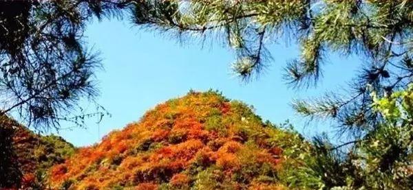 太原高速公路自驾游攻略,从太原自驾游攻略最全最好的线路