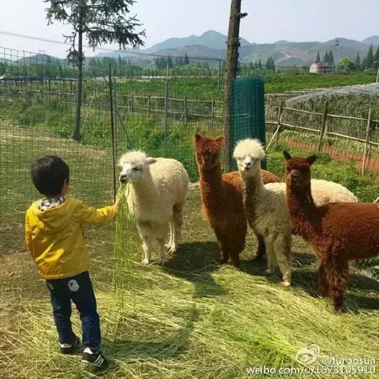 戏如人生成功背后的心酸,戏里面的人生