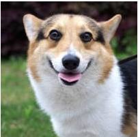 他不仁，就不要怪我不义！