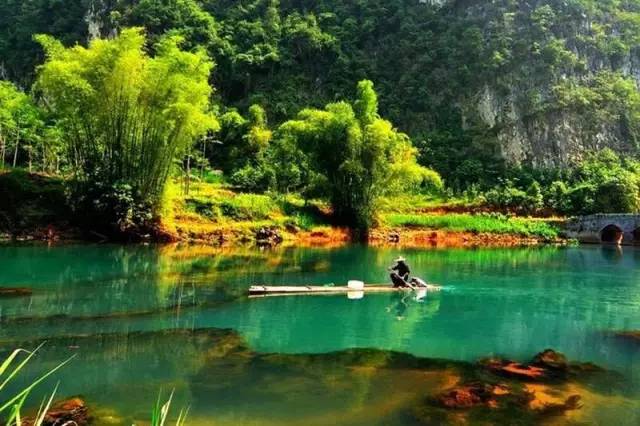 广西最美花海在哪里,广西小众美丽村庄