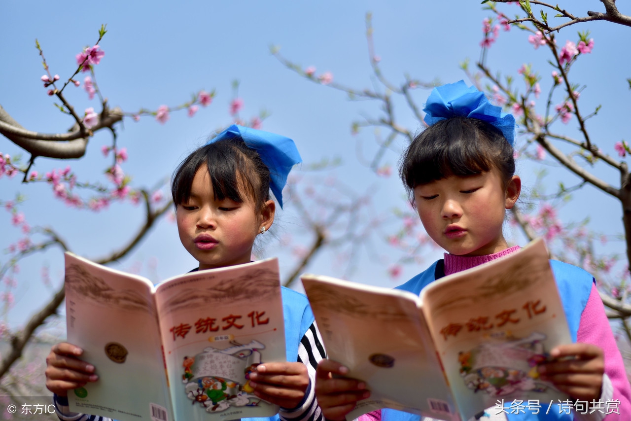 咏柳贺知章唐诗朗诵,古诗咏柳贺知章视频