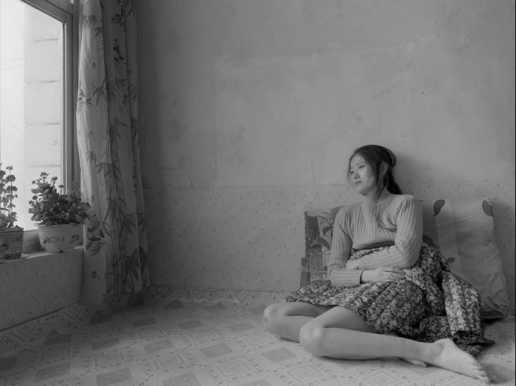 免费看电视连续剧寡妇成仙记,小寡妇成仙记完整版免费观看