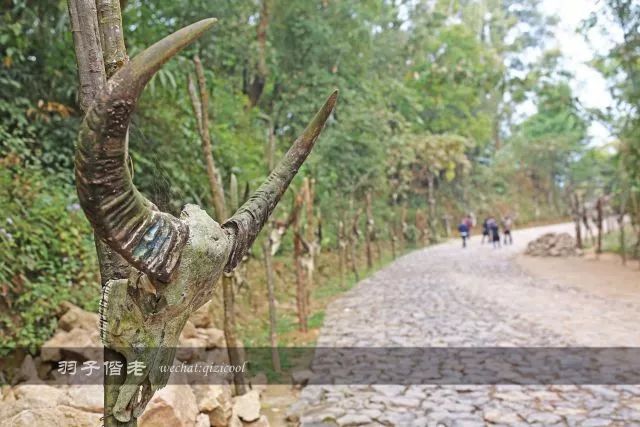 云南沧源靠近哪个国家,云南沧源最好玩的地方