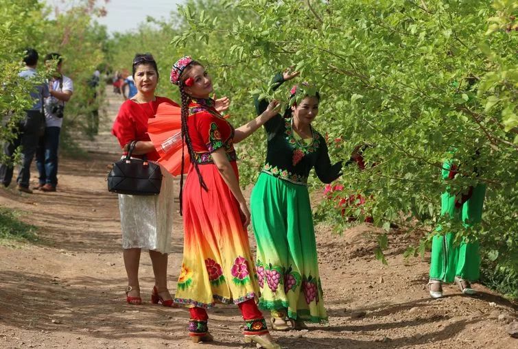 生活在吐鲁番的感受,生活在吐鲁番是一种怎样的体验