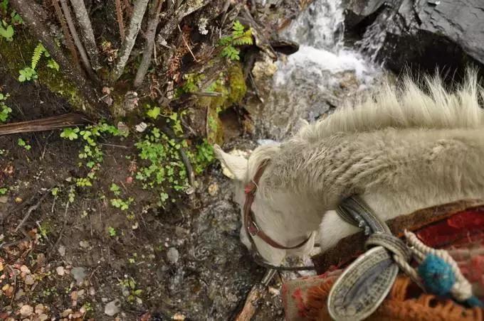 踏春出游四天三晚,四姑娘山五一节值得去吗