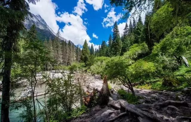 踏春出游四天三晚,四姑娘山五一节值得去吗