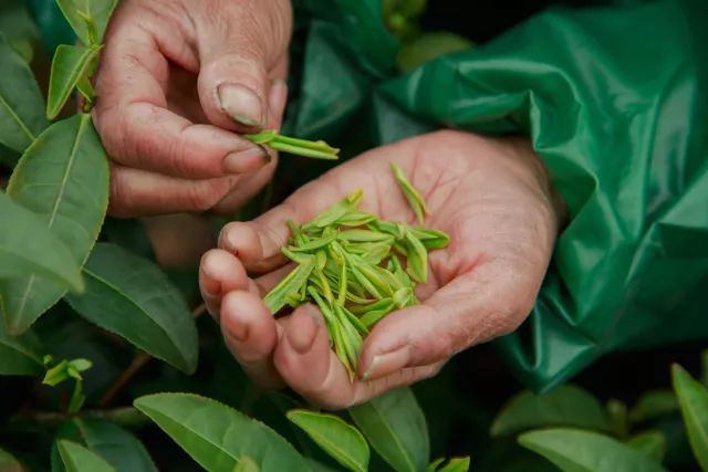 乙肝自愈需要注意什么,乙肝攻克
