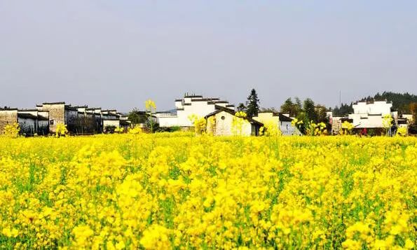 清明请假2天休息5天,清明小长假两天一夜出游攻略