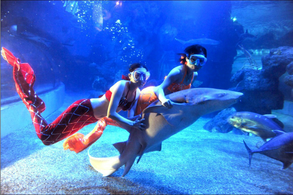 武汉东湖海洋世界项目,海昌极地海洋和东湖海洋