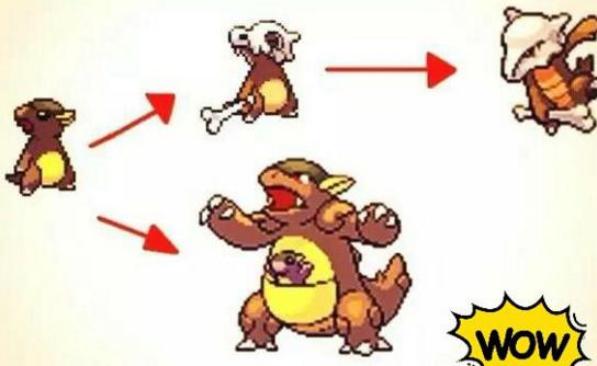 神奇宝贝进化大全最新,袋龙进化图