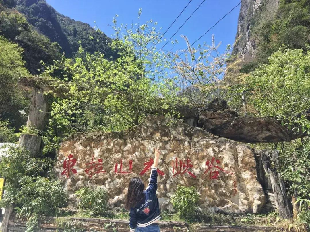 清明踏春一日游必去景点,踏春赏花景点最美推荐