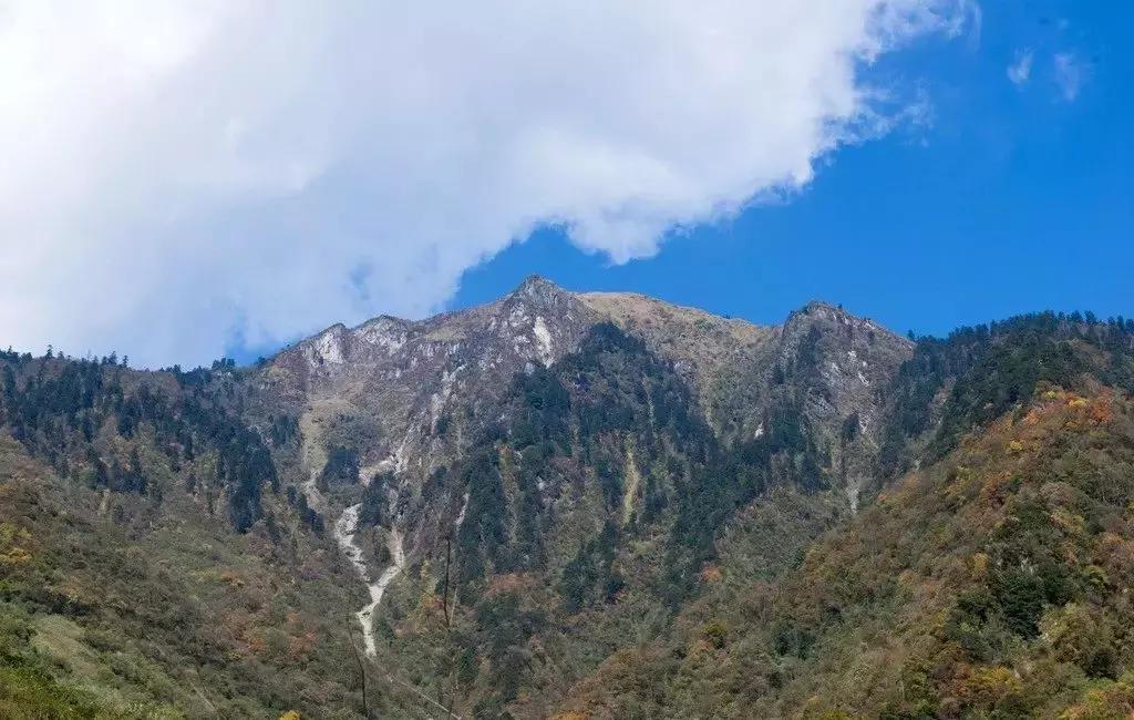 清明踏春一日游必去景点,踏春赏花景点最美推荐