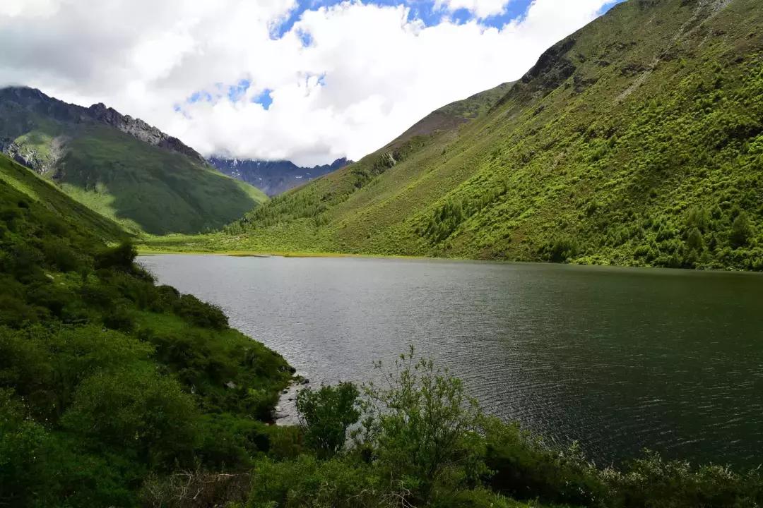 清明假期将至踏春赏花游成热门,清明假期去四姑娘山