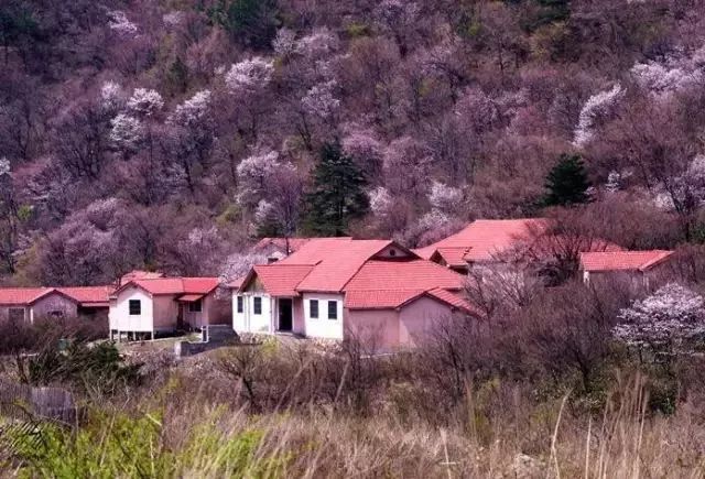 诗意到极致的江南小镇,最有韵味江南小城