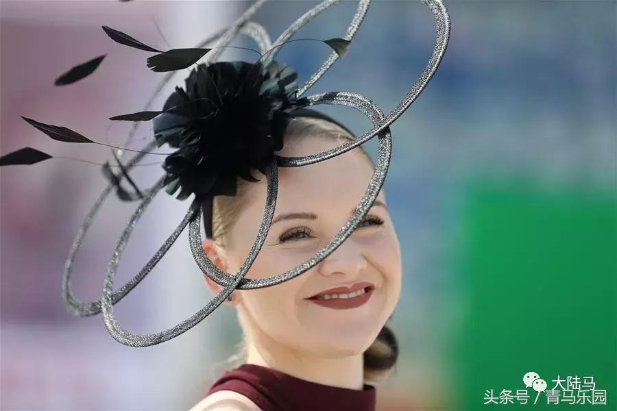 赛马节马的装扮,第27届迪拜赛马世界杯