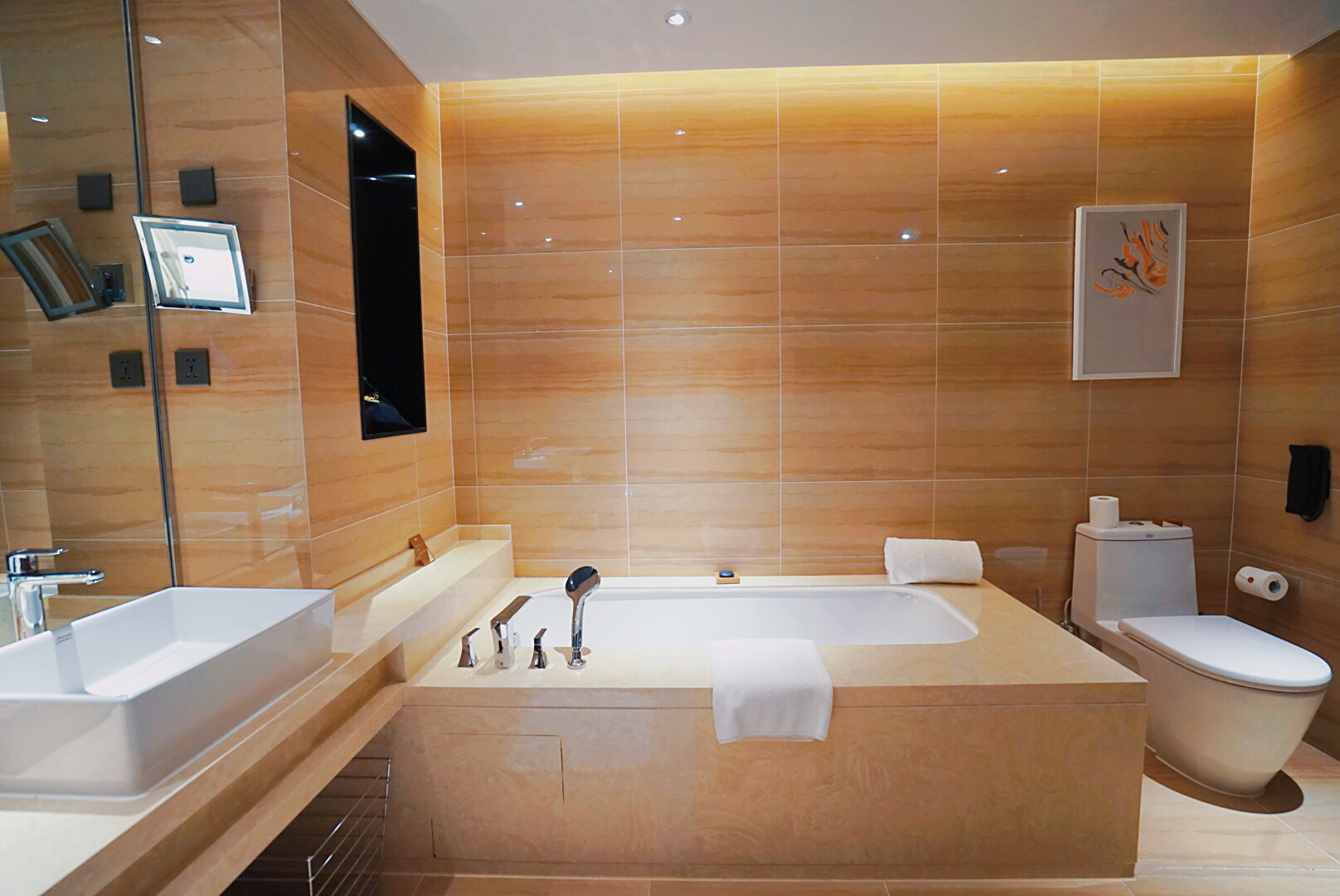 上海酒店国家会展中心,上海国家会展中心中国酒店