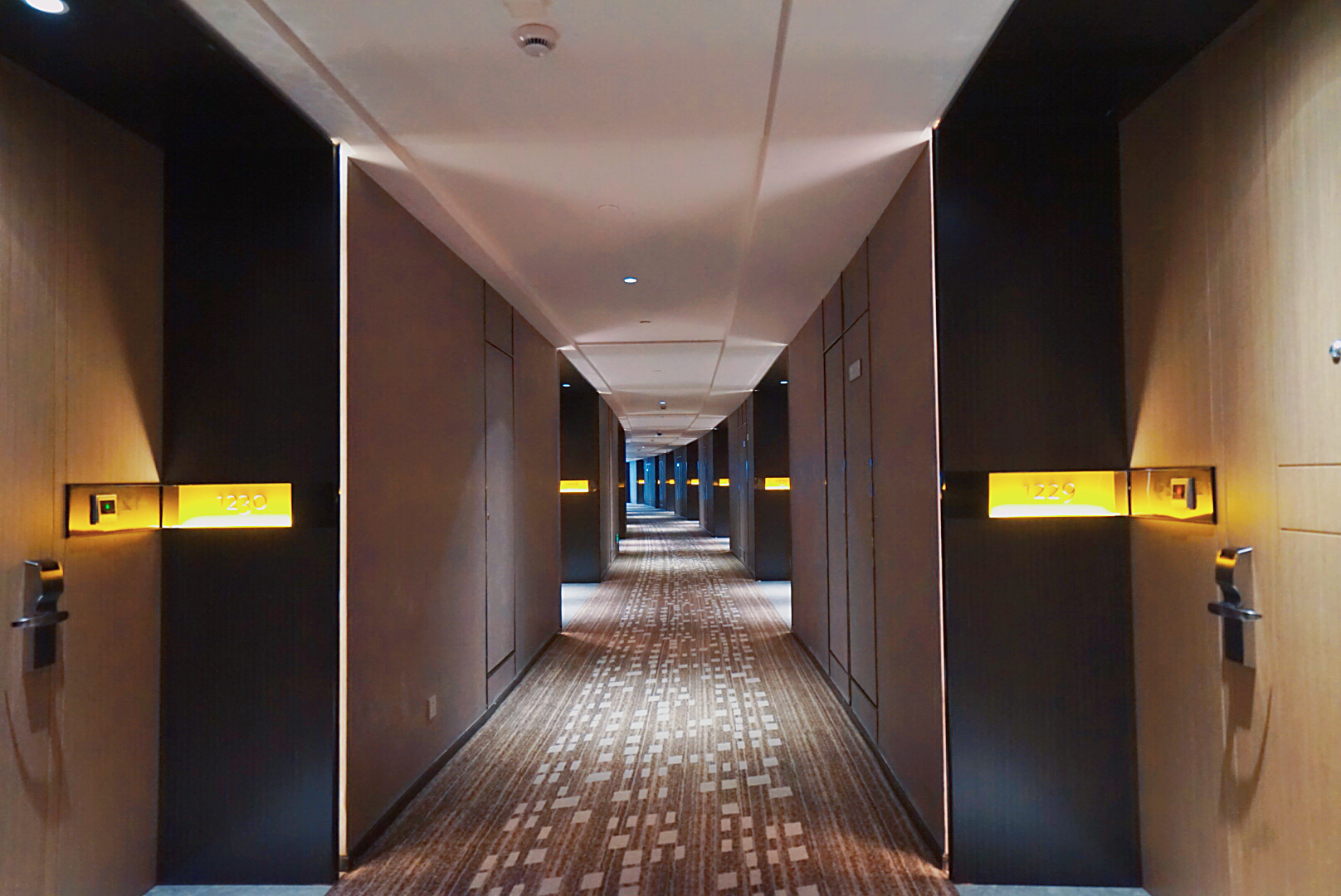 上海酒店国家会展中心,上海国家会展中心中国酒店