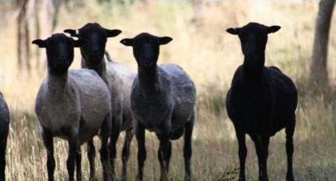 丝巾怎样搭配才好看？搭配好胜过买100件新衣