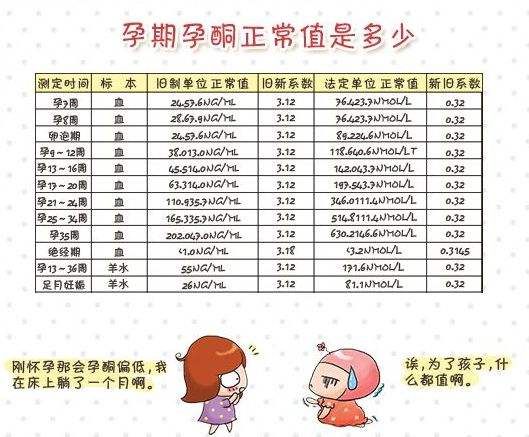 孕酮19.6算低么,孕六周孕酮19算很低吗