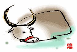 生辰八字与属相婚姻哪个准,属相和命理在婚姻中哪个更重要