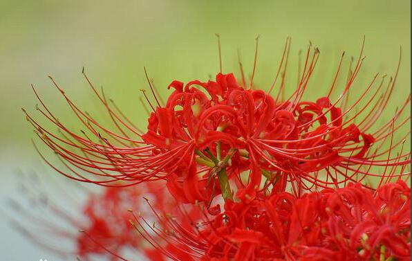 我想要的不过是你明目张胆的偏爱,我想要的不过是你英文歌