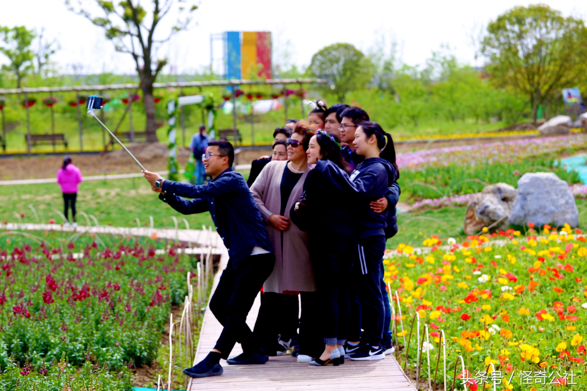 宜昌市夷陵区同心花海,2020宜昌赏花同心花海