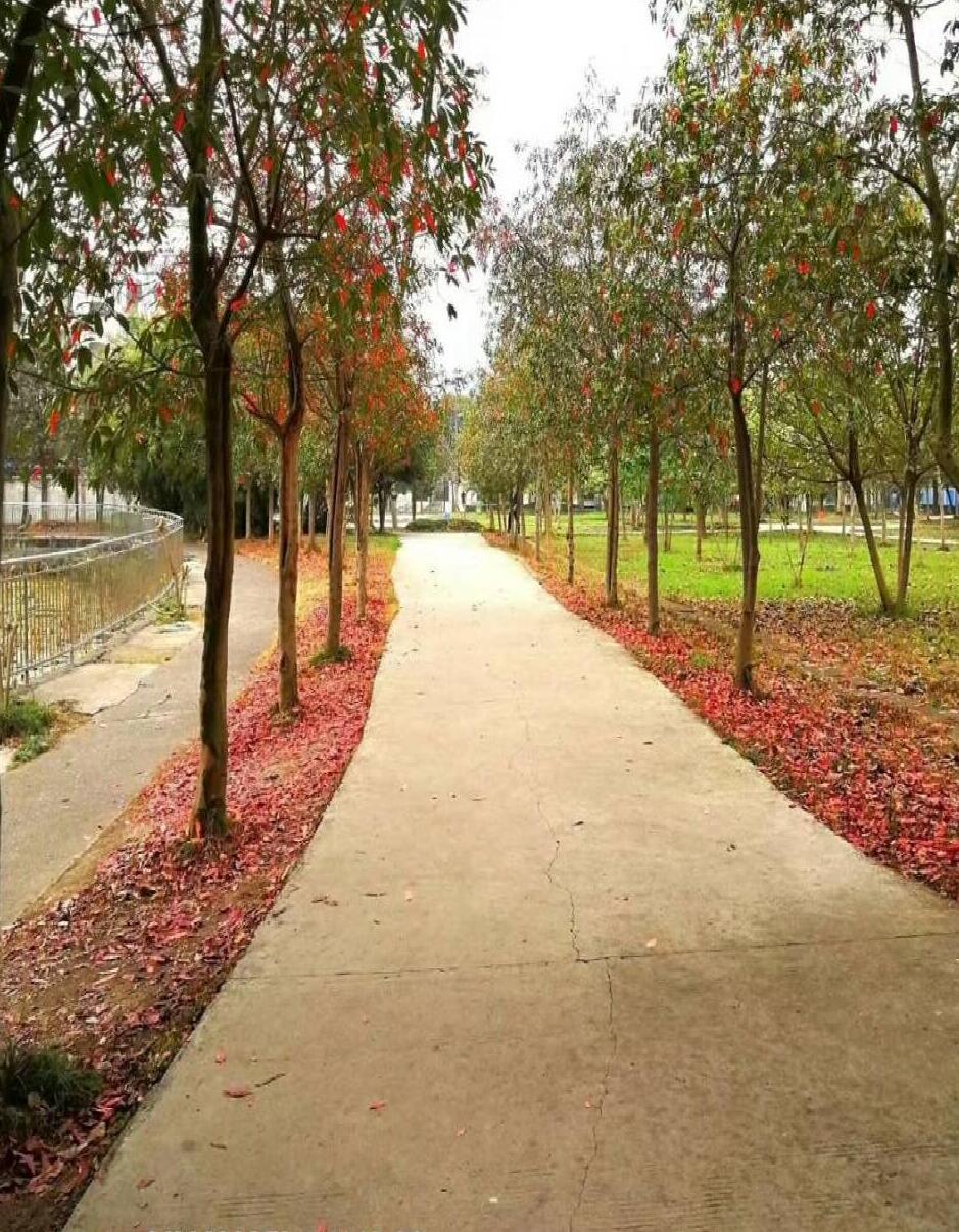 家长如何为初三毕业生选择好职校,初三家长选学校