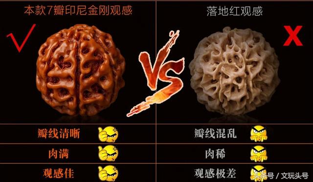 金刚和落地红最简单的辨认方法,落地红和金刚的区别图片欣赏