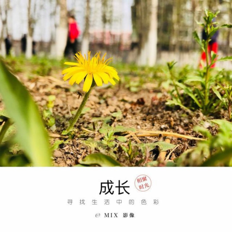 静下心来做自己该做的事图片,静下心来做听众