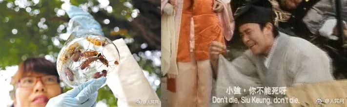 法治新闻全集完整版,严查机构改革中的违法问题