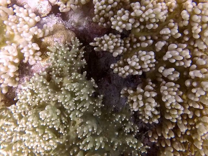 帕劳旅行的日记,帕劳的旅行日记