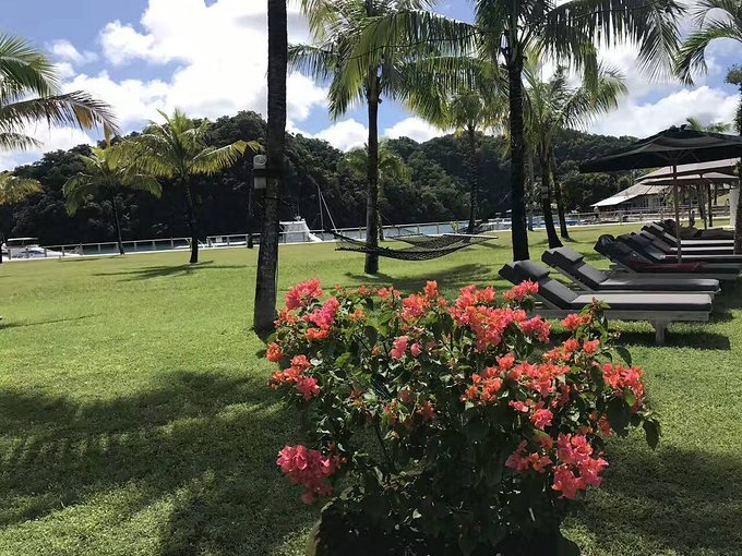 帕劳旅行的日记,帕劳的旅行日记