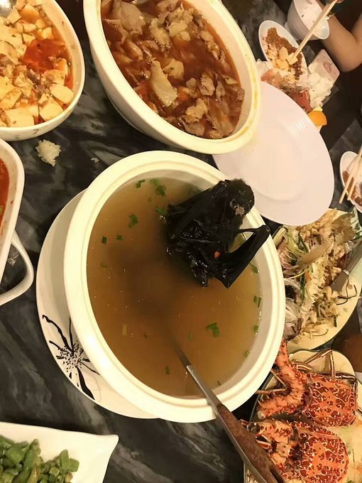 帕劳旅行的日记,帕劳的旅行日记