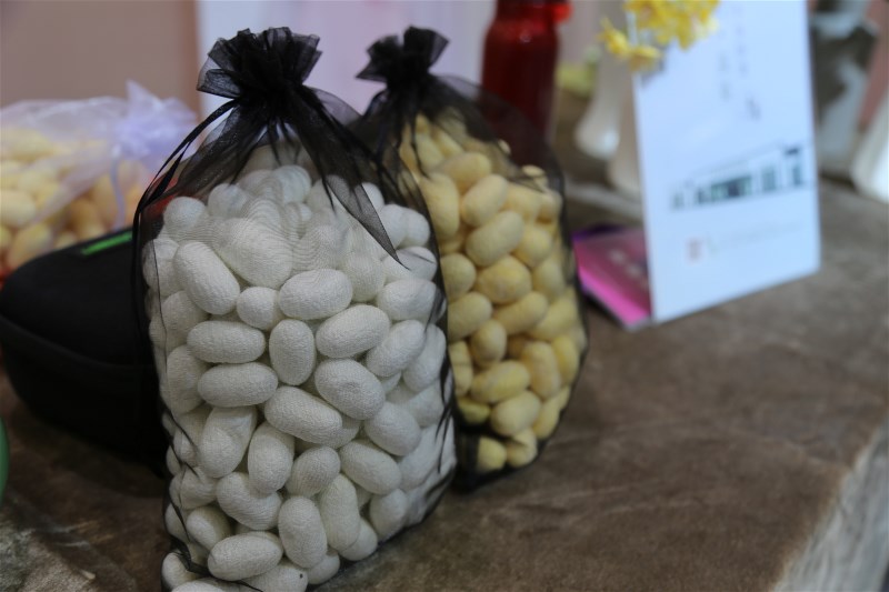 谷向阳讲话视频,谷向阳视频