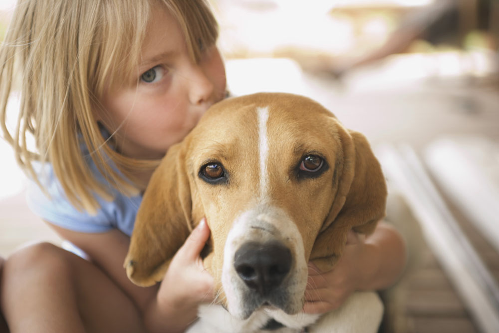狗狗丢失了怎样缓解心情,狗狗丢失自己回家