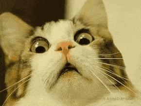 整形“神器”大测评：传说中的隆鼻夹真的靠谱吗？