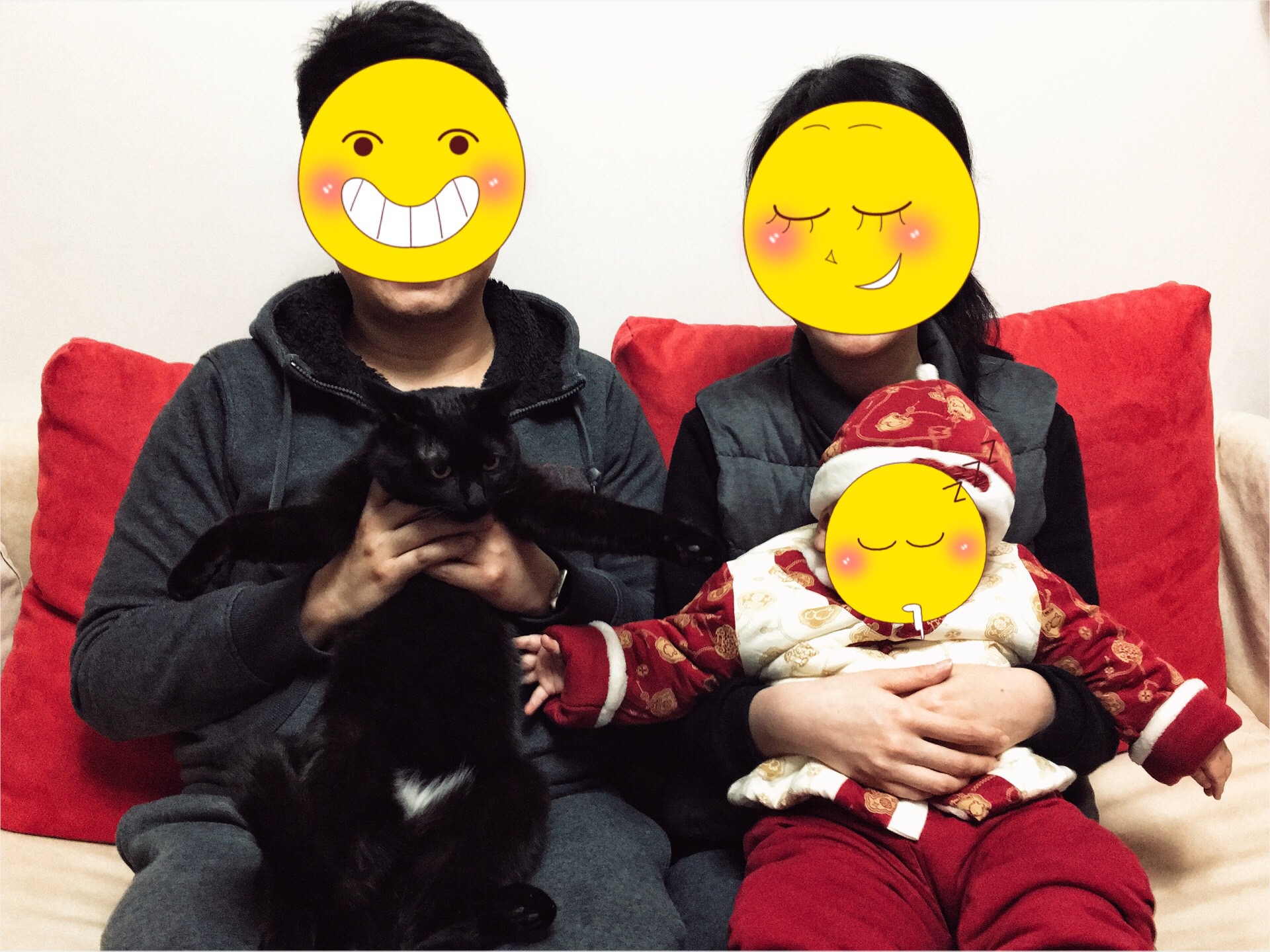 谣言粉碎机系列，怀孕养宠不会流产，不会畸形，更不会。。。