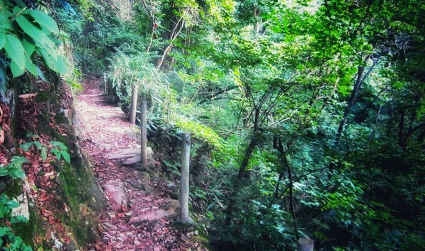 吴越古道浙西天池,安徽徽州古道