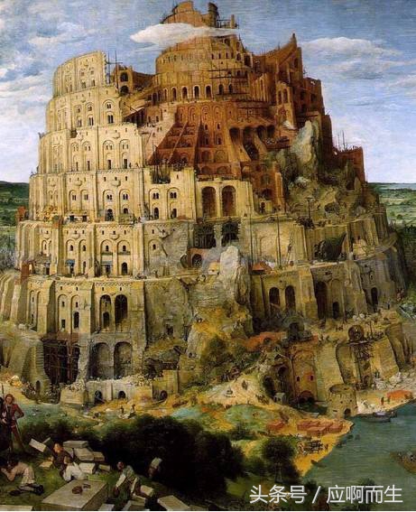 十二生肖怕人的生肖,蟑螂对应十二生肖什么动物