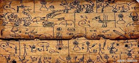 十二生肖怕人的生肖,蟑螂对应十二生肖什么动物