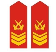 什么是士官,什么是士官和干部