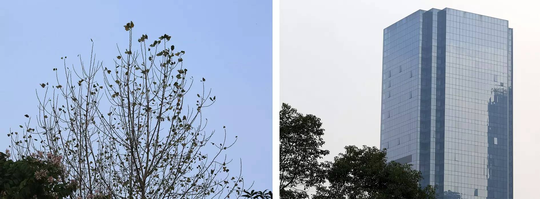 不会玩多曝摄影？看完这10个问题就会了