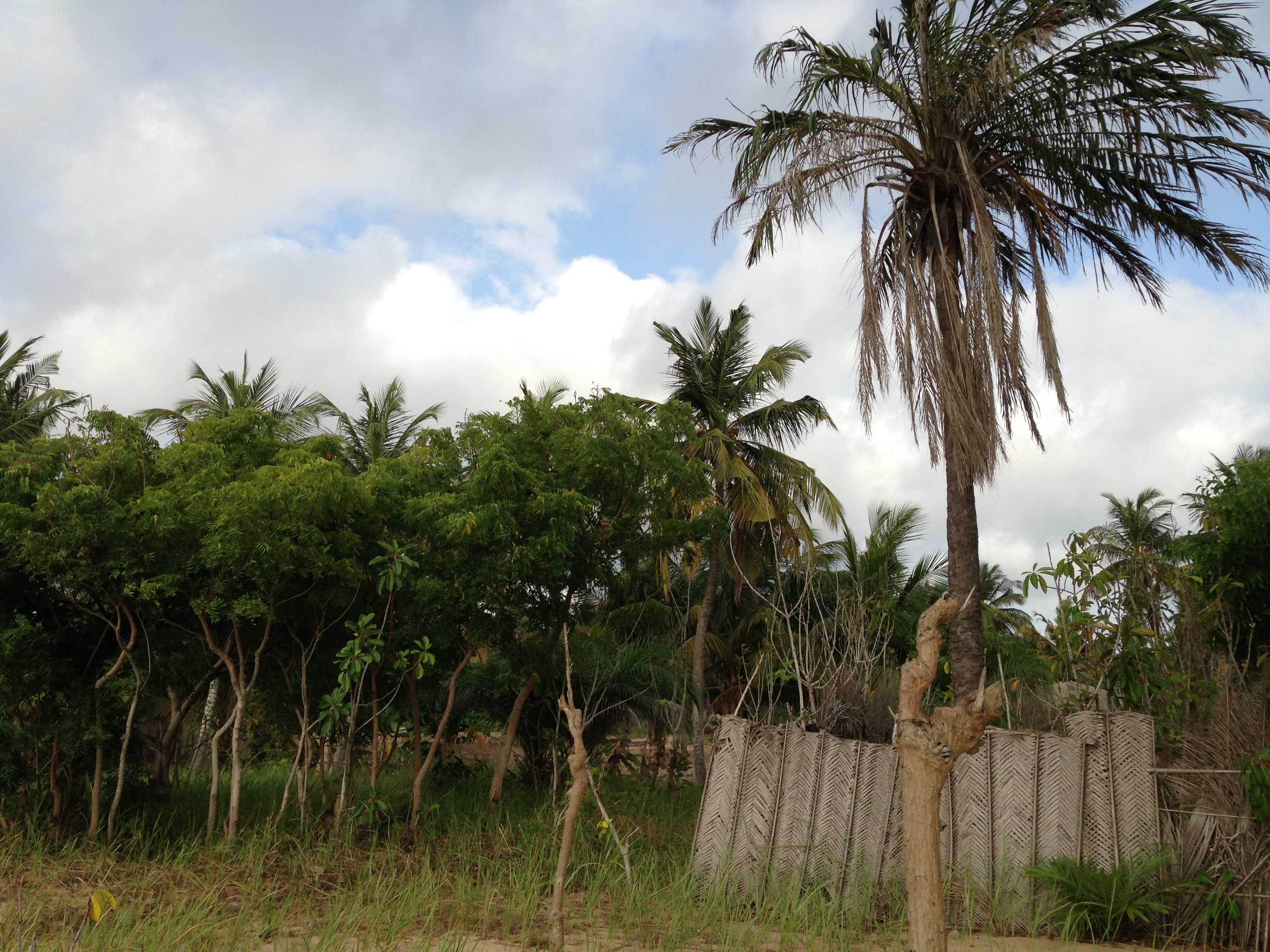 小学生写作文困难症,小学生写作文的主要问题
