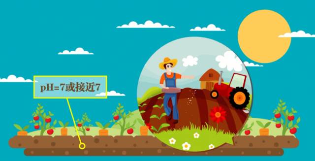 水的电离和溶液ph值的计算知识点,ph值的计算试题