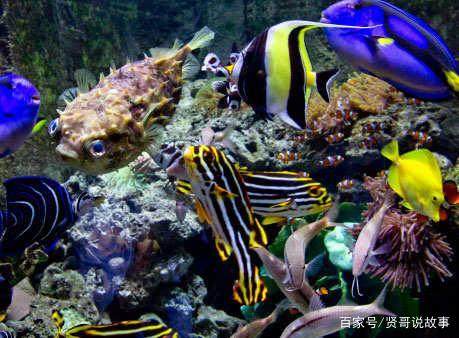 迪拜还有哪些地方好玩,迪拜一定要去的景点