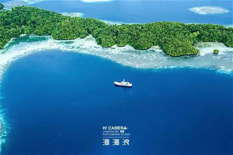 帕劳当地美女,帕劳美女长什么样